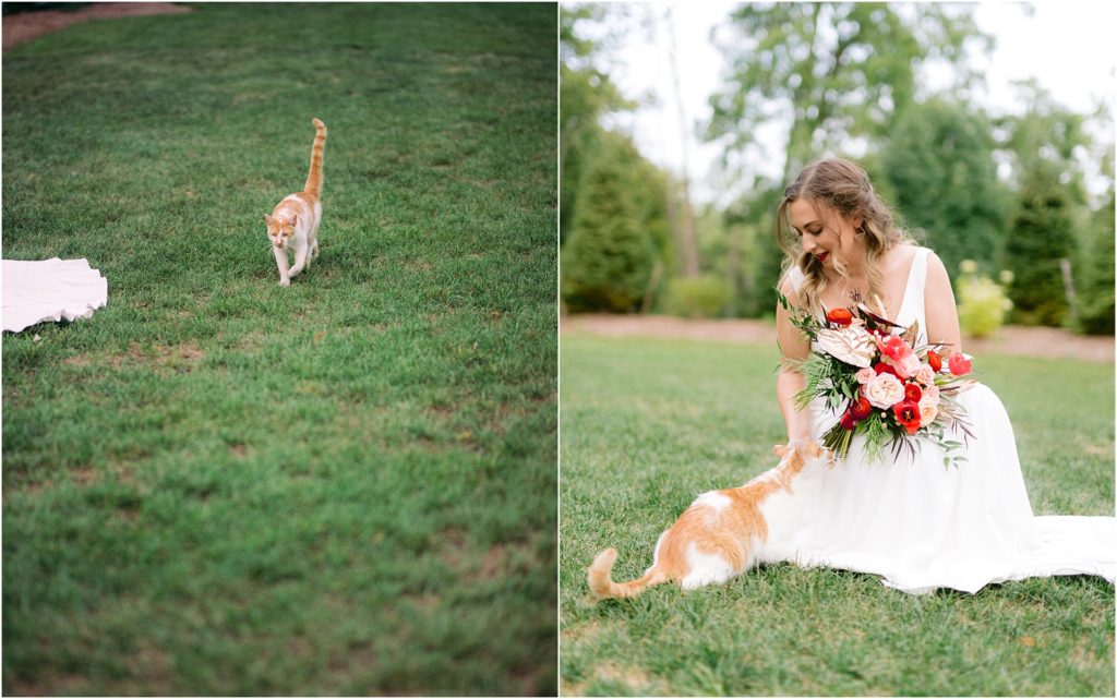 Grand Rapids bride with her cat